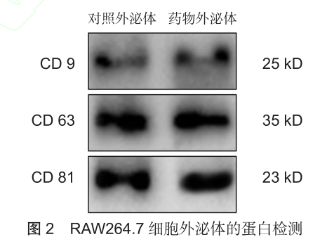 香港内部六宝典资料大全