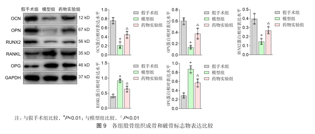 香港内部六宝典资料大全